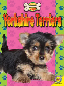 Yorkshire Terriers