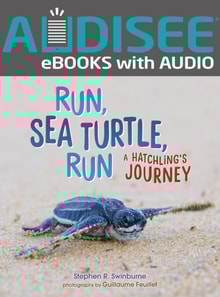 Run, Sea Turtle, Run