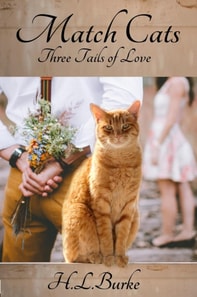 Match Cats: Three Tails of Love