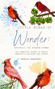 Little Wings of Wonder: Cardinals, the Crimson Crowns The Complete Guide to North America's Beloved Red Birds
