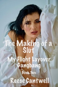 Making of a Slut: Book Two: My Flight Layover Gangbang