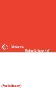 Singapore Modern Business Hub: A Mini Guide