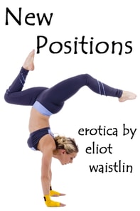 New Positions: An Erotic Tale