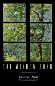 Window Song