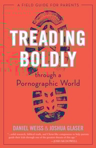 Treading Boldly through a Pornographic World