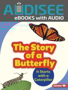 Story of a Butterfly