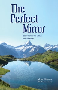 Perfect Mirror: Reflections on Truth and Illusion