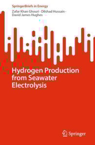 Hydrogen Production from Seawater Electrolysis