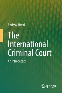International Criminal Court
