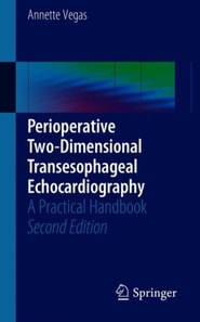 Perioperative Two-Dimensional Transesophageal Echocardiography