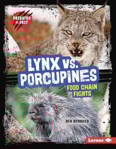 Lynx vs. Porcupines