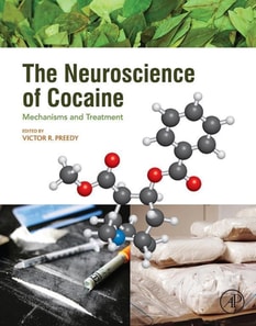 Neuroscience of Cocaine
