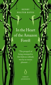 In the Heart of the Amazon Forest