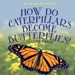 How Do Caterpillars Become Butterflies?