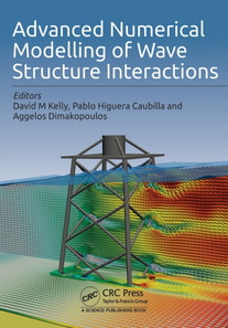 Advanced Numerical Modelling of Wave Structure Interaction
