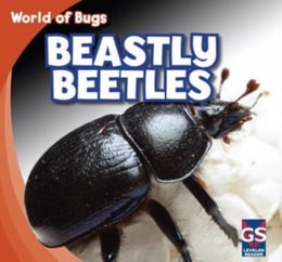 Beastly Beetles