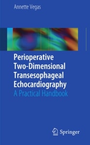 Perioperative Two-Dimensional Transesophageal Echocardiography
