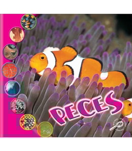 Peces