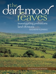 Dartmoor Reaves