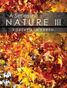 Series in Nature III