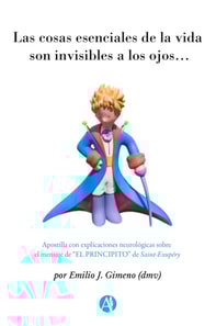 Las cosas esenciales de la vida son invisibles a los ojos…