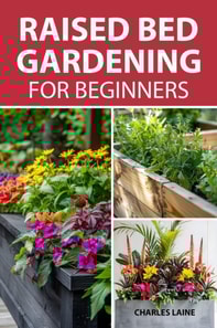 Raised Bed Gardening For Beginners