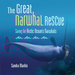 Great Narwhal Rescue