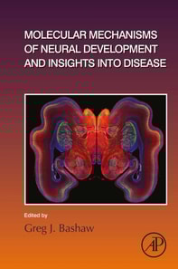 Molecular Mechanisms of Neural Development and Insights into Disease