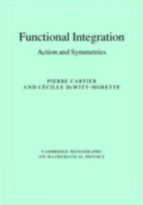 Functional Integration