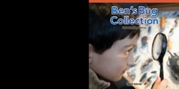 Ben's Bug Collection