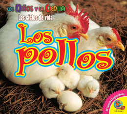 Los pollos