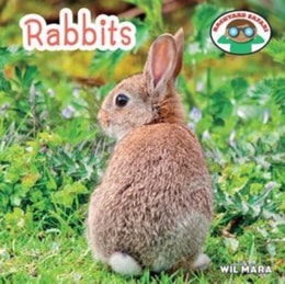 Rabbits