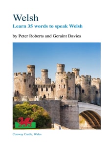 Welsh - Learn 35 Words to Speak Welsh