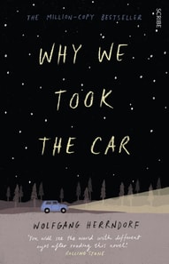 Why We Took the Car