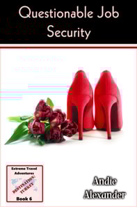 Questionable Job Security