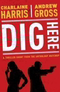 Dig Here