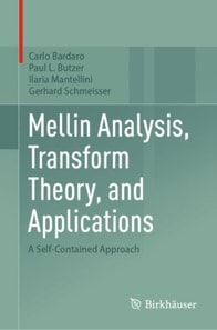 Mellin Analysis, Transform Theory, and Applications