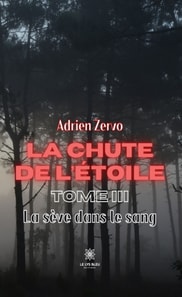 La chute de l'etoile - Tome 3