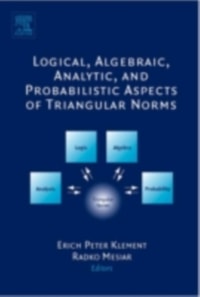 Logical, Algebraic, Analytic and Probabilistic Aspects of Triangular Norms