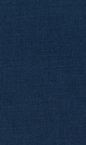 Virtual Environments and Advanced Interface Design