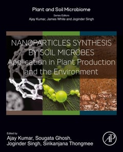 Nanoparticles Synthesis by Soil Microbes