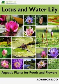 Lotus and Water Lily: Aquatic Plants for Foods and Flowers