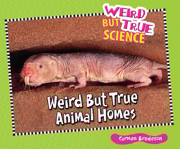 Weird But True Animal Homes