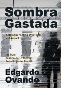 Sombra Gastada (Antologia poetica 1990-2000. Volumen II)