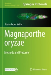 Magnaporthe oryzae