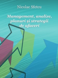 Management, analize, planuri si strategii de afaceri