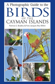 Photographic Guide to the Birds of the Cayman Islands