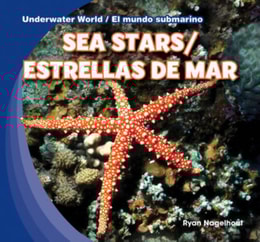 Sea Stars / Estrellas de mar