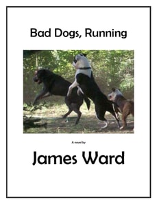 Bad Dogs, Running