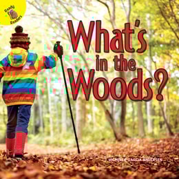 What's in the Woods?